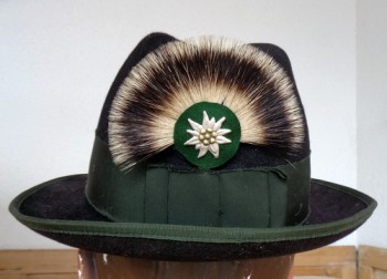 DACHSRADL MIT GOLDSTICKEREI