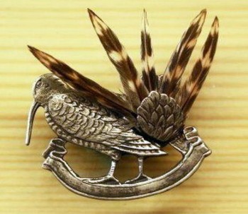 Fassung Schnepfenfedern