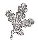 Keilerwaffendeckblatt