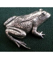 A14 Frosch