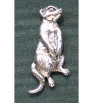 A61 meercat