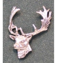 A63 fallow deer head