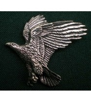 B14 eagle