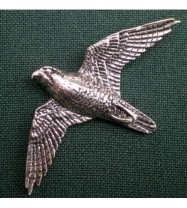 B35 peregrine