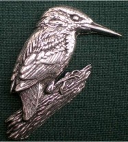 B5 kingfisher