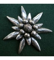 C1 big edelweiss