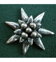 C21 Edelweiss klein