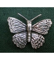 C2 butterfly