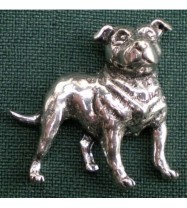 D17 Bullterrier