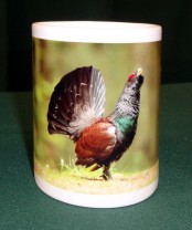Häferl/Tasse Wildmotiv "Auerhahn"