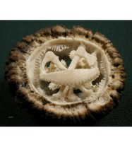 Geschnitzte Hirschrose Holzknecht Waldarbeiter