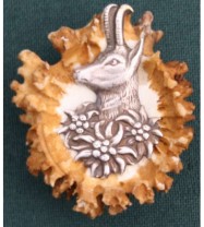 HUTANSTECKER GAMS EDELWEISS  REHROSE