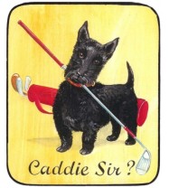 Caddy Sir