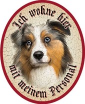 Australien Shepherd Hund 18 + Australien Shepherd Hund 18 +
