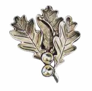 Schweres massives Keilerwaffendeckblatt