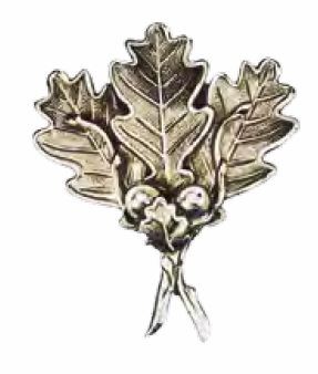 Schweres massives Keilerwaffendeckblatt