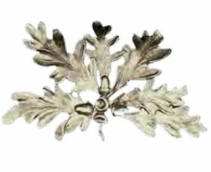 Keilerwaffendeckblatt