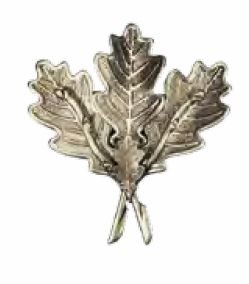 Schweres massives Keilerwaffendeckblatt