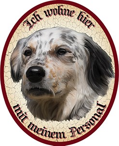 Hund 58 English Setter +