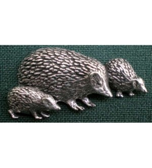 A46 hedgehog family