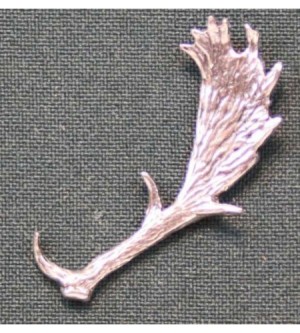 A64 fallow antler