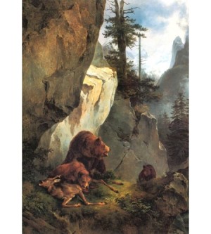 Bären beim toten Rehbock