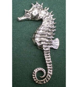 C12 sea horse
