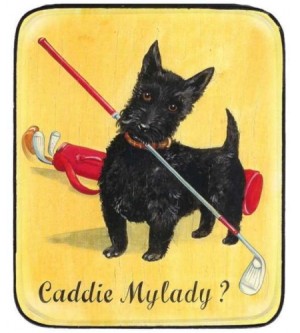 Caddy Mylady