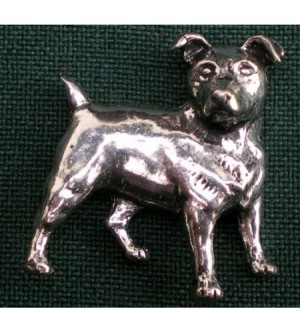 D13 jack russell terrier