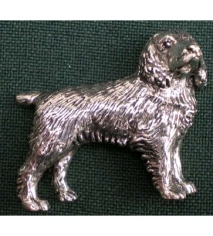 D5 Spaniel