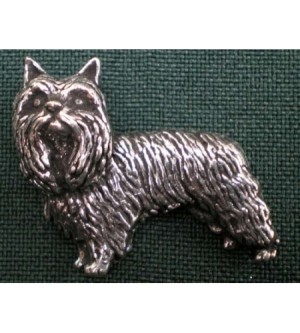 D6 Yorkshire Terrier