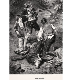 Der Wilderer