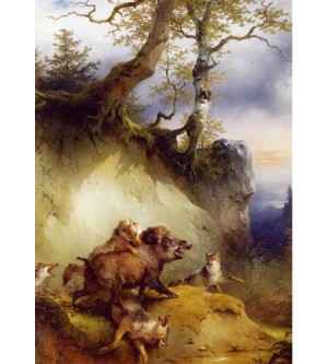 Wildschwein von Wölfen angefallen