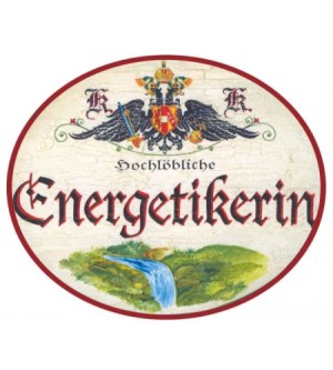 Energetikerin