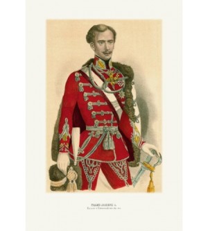 Kaiser Franz Joseph I. Der junge Kaiser