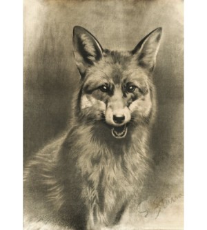 Fuchs