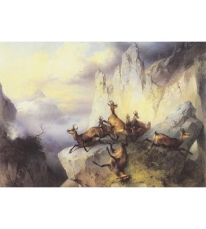 Gämse Gemse Gamsjagd bei Seewiesen