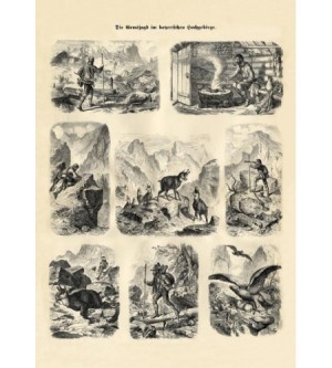 Gemsjagd Hochgebirge