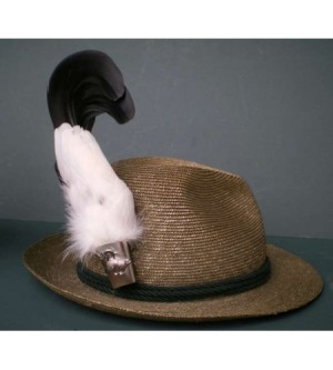 Dachsbart - clone - clone - clone - clone - clone - clone - clone - clone - clone - clone