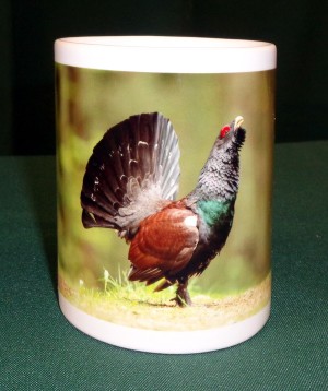 Häferl/Tasse Wildmotiv "Auerhahn"