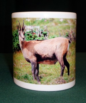 Häferl/Tasse Wildmotiv "Gams"