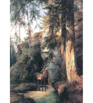 Hirsch in felsiger Lichtung