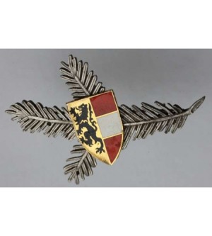 Bruch mit Salzburger Wappen