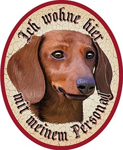 Bannerdackel Hund 11 +