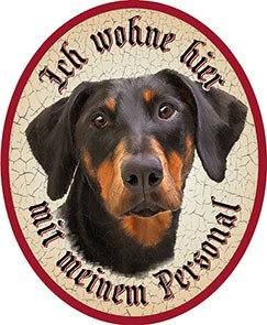 Dobermann Hund 12 +