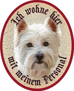Hund 37 West Highland Terrier +