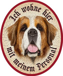 Hund 7 Bernhardiner +