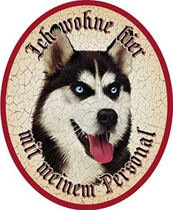 Hund 9 Husky +