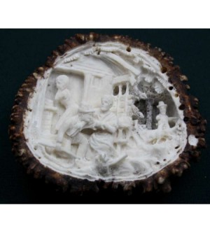 HIRSCHHORNROSE WILDERER ERTAPPT