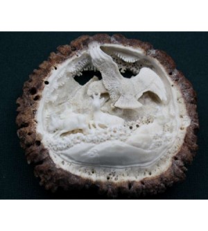 HIRSCHHORNROSE ADLER GEGEN GEMSE